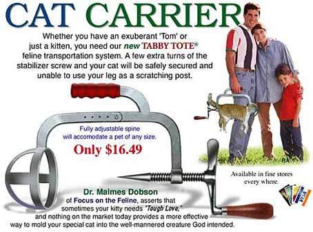 How to Carry a Cat Cat Carrier